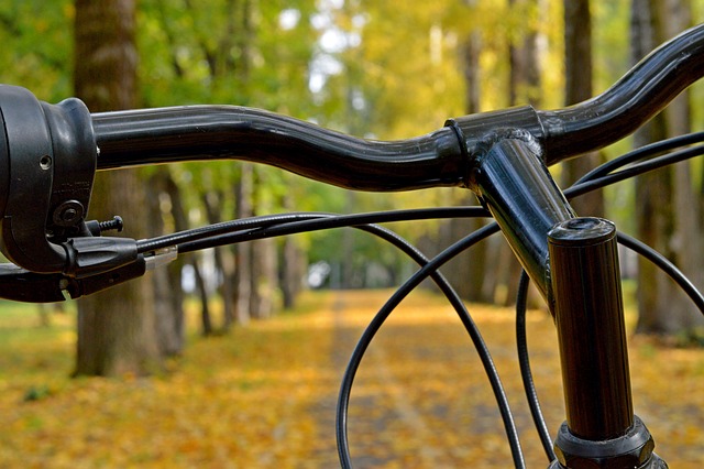 Bruchsal Radweg